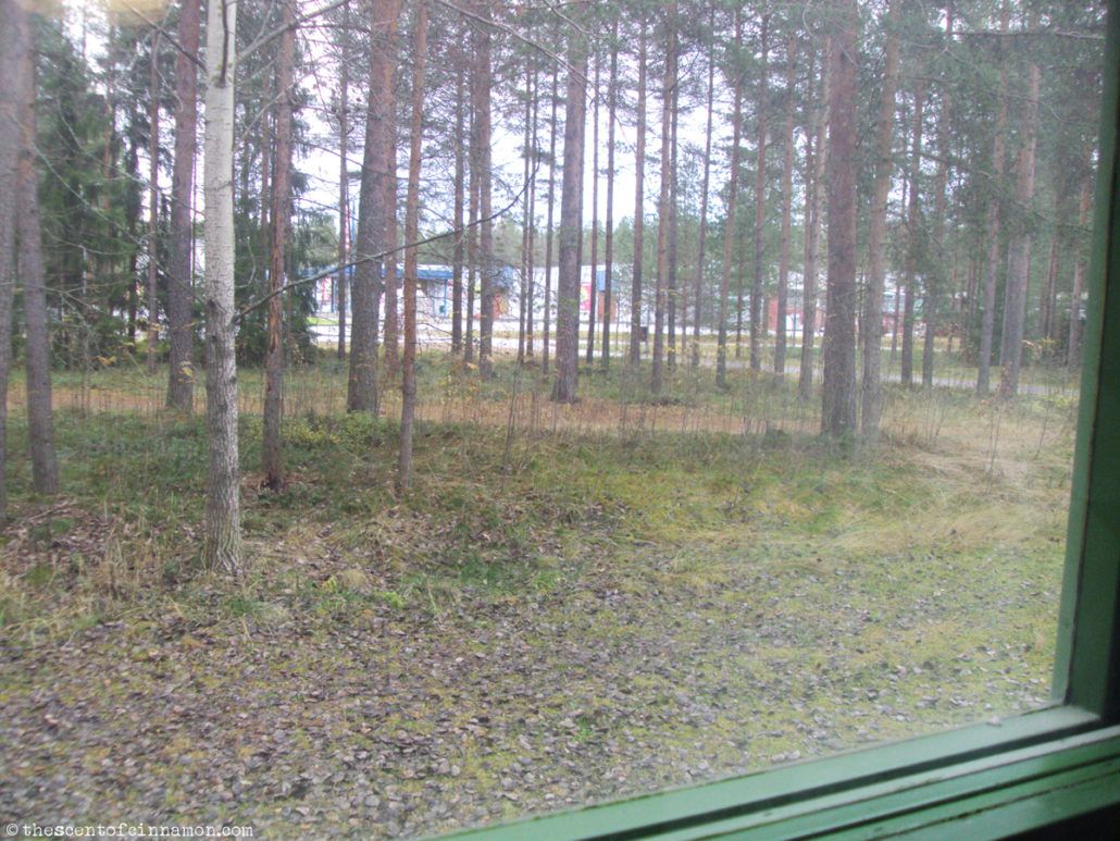 Window View University of Oulu - The Scent of Cinnamon